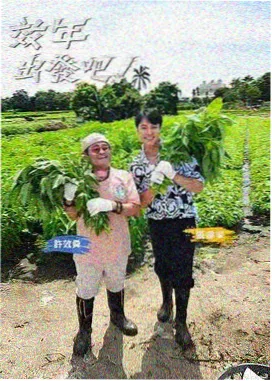 灿烂影院综艺匣条目封面示意